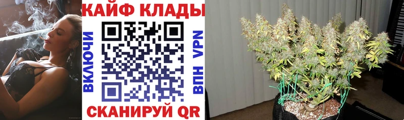 ЭКСТАЗИ Власиха