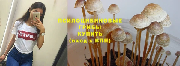 ГАЛЛЮЦИНОГЕННЫЕ ГРИБЫ Баксан
