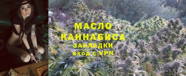 молекула духа Нестеровская