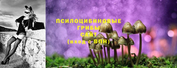 ГАЛЛЮЦИНОГЕННЫЕ ГРИБЫ Баксан