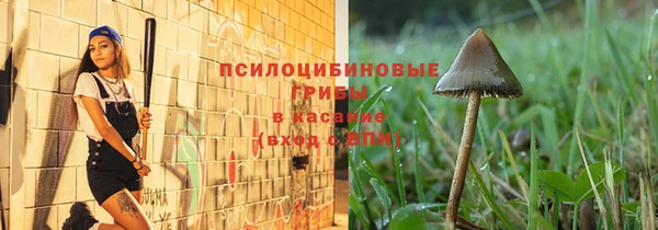 ГАЛЛЮЦИНОГЕННЫЕ ГРИБЫ Баксан